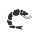 t shellfish