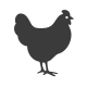 t poultry