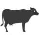 t beef